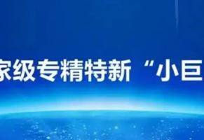 我司榮獲國家級(jí)專精特新“小巨人”企業(yè)榮譽(yù)